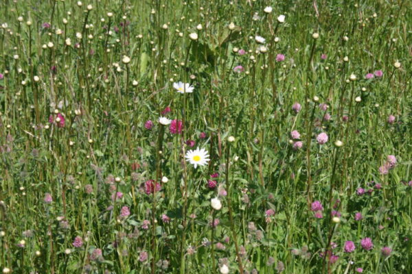 2. 2e cursusdag 2. 2e cursusdag