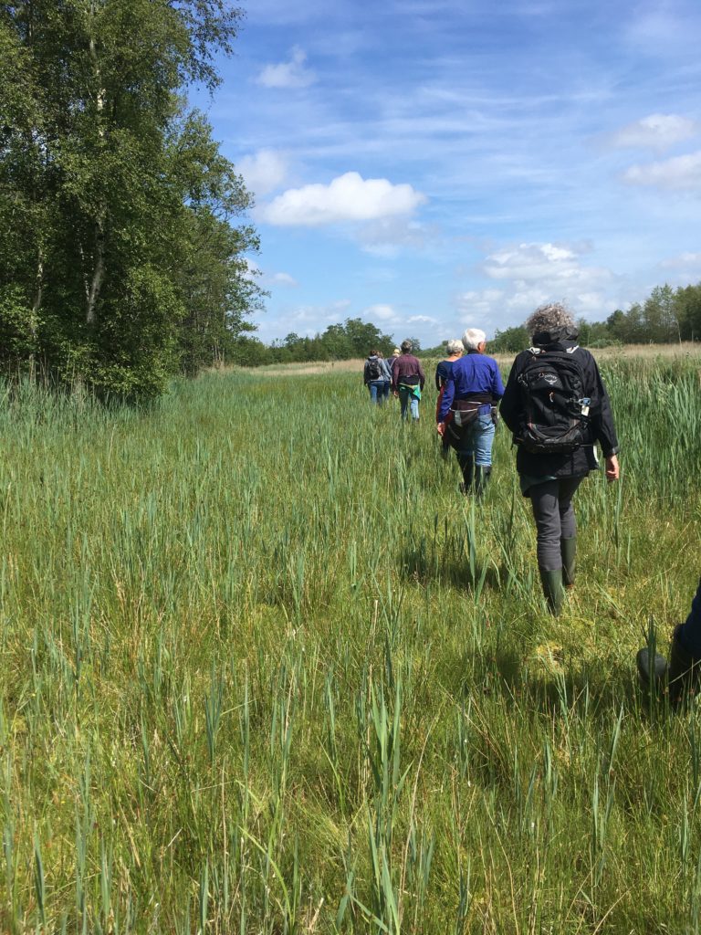 Cursusdagen tellingen Blommenpaad