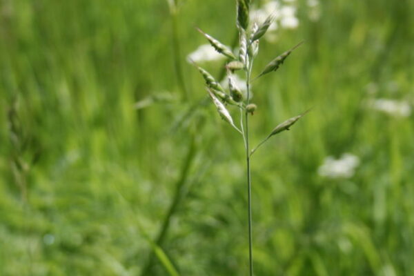 2e cursusdag 2e cursusdag