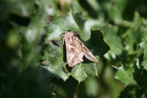 2e cursusdag - Gamma-uil 2e cursusdag - Gamma-uil