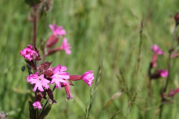 4. 2e cursusdag 4. 2e cursusdag