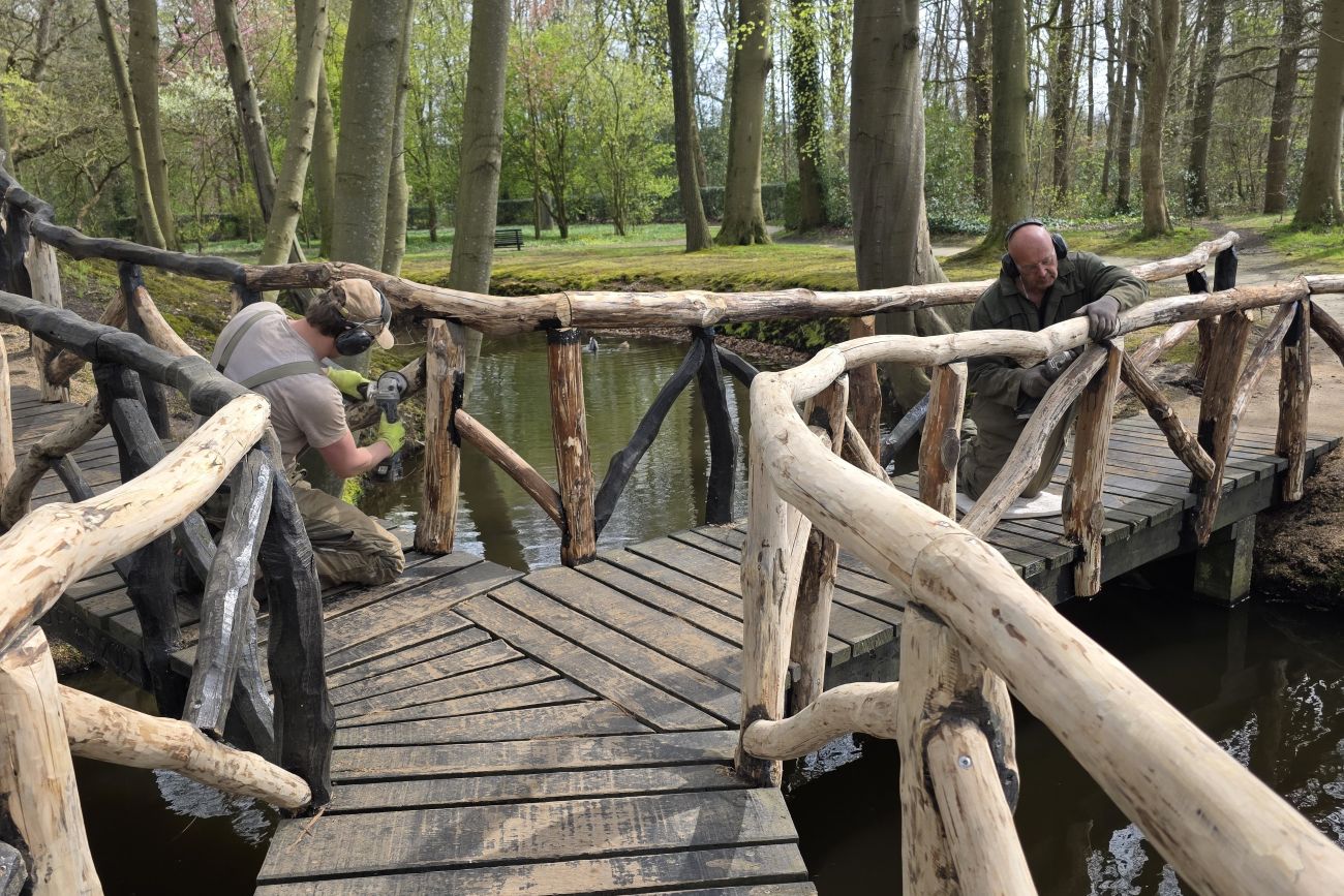 Driearmige brug Staniastate onder de aandacht