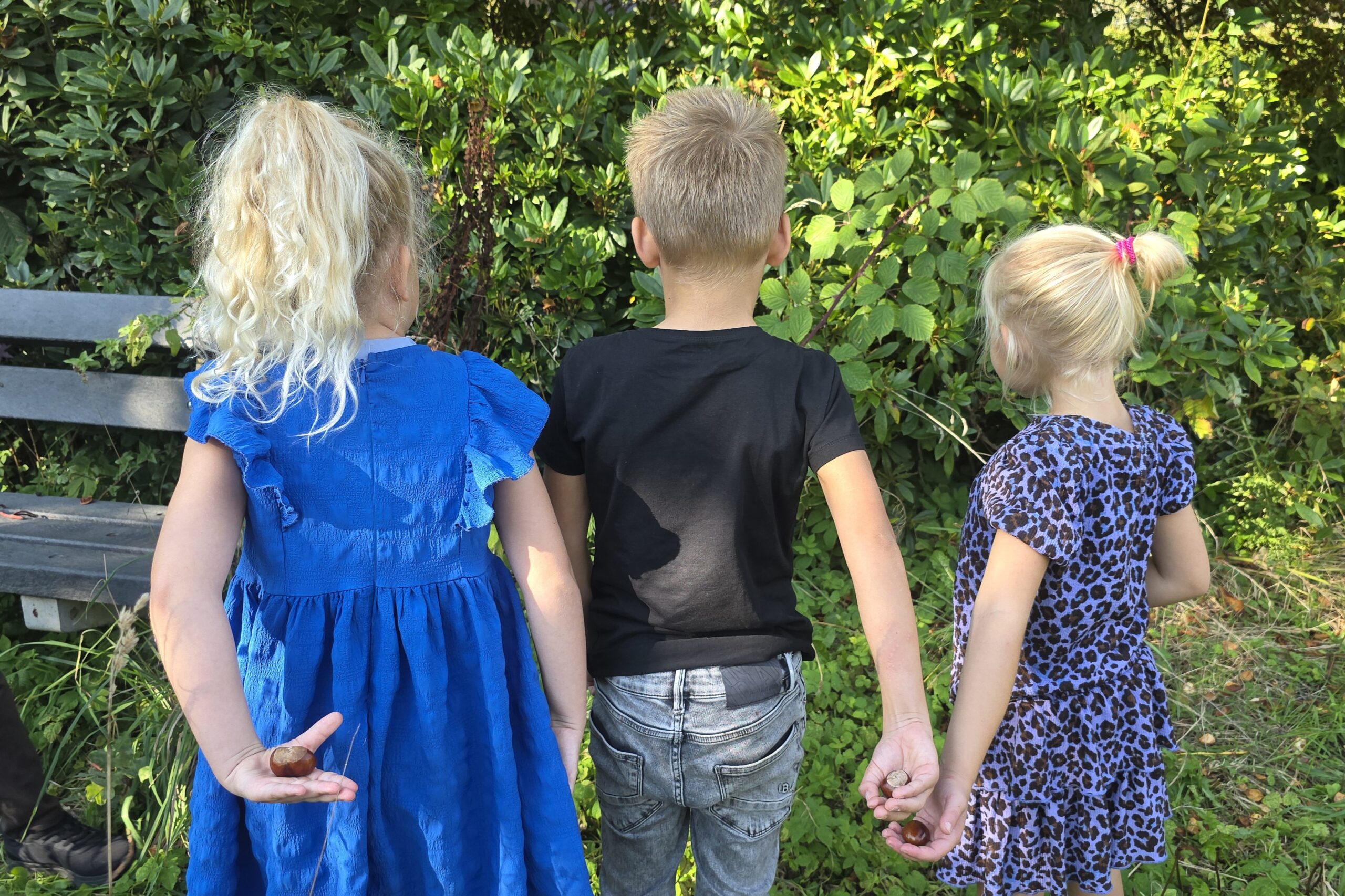 kinderen op de bijenweide in Oentsjerk